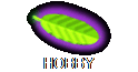 HOBBY